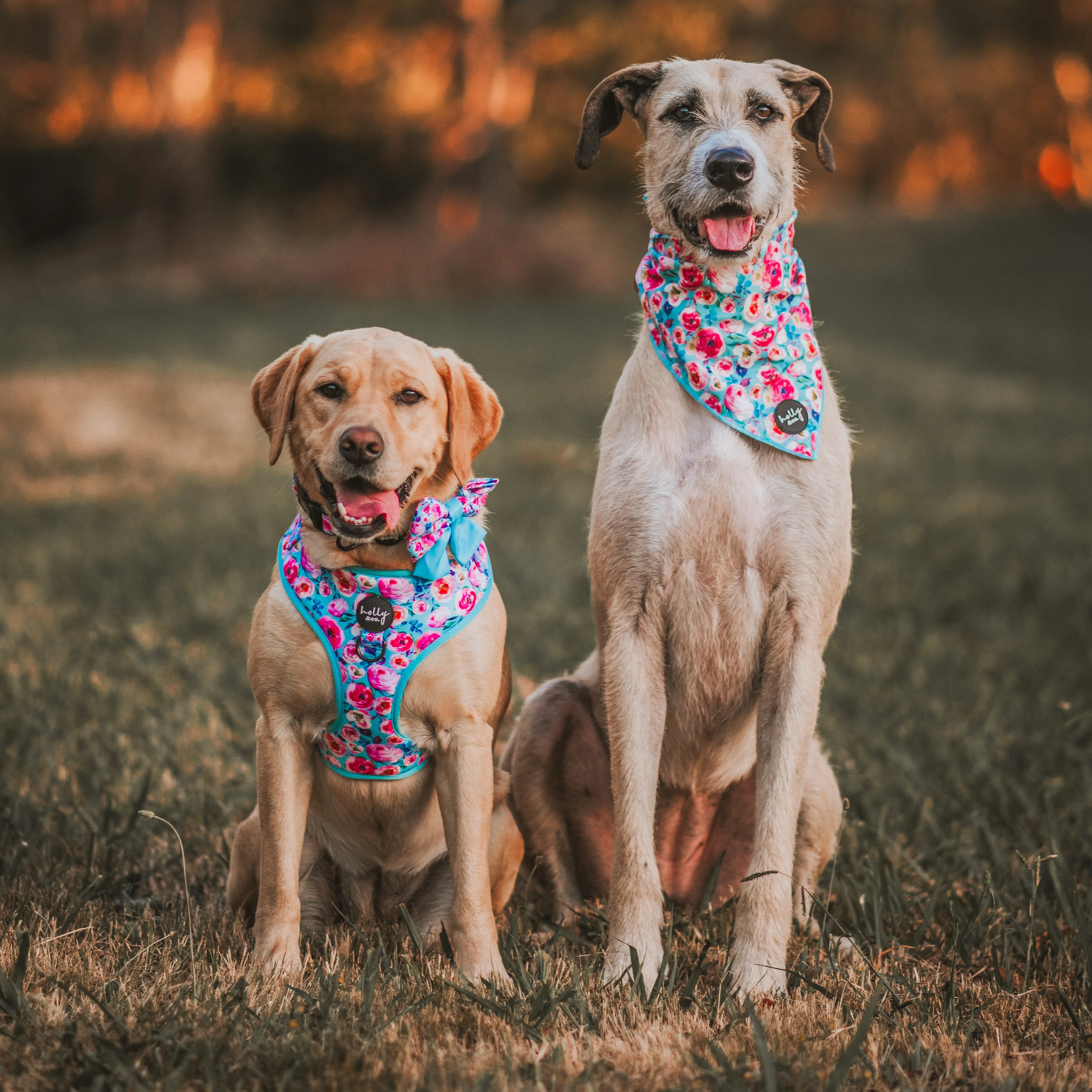 Bandana // Ok, Bloomer