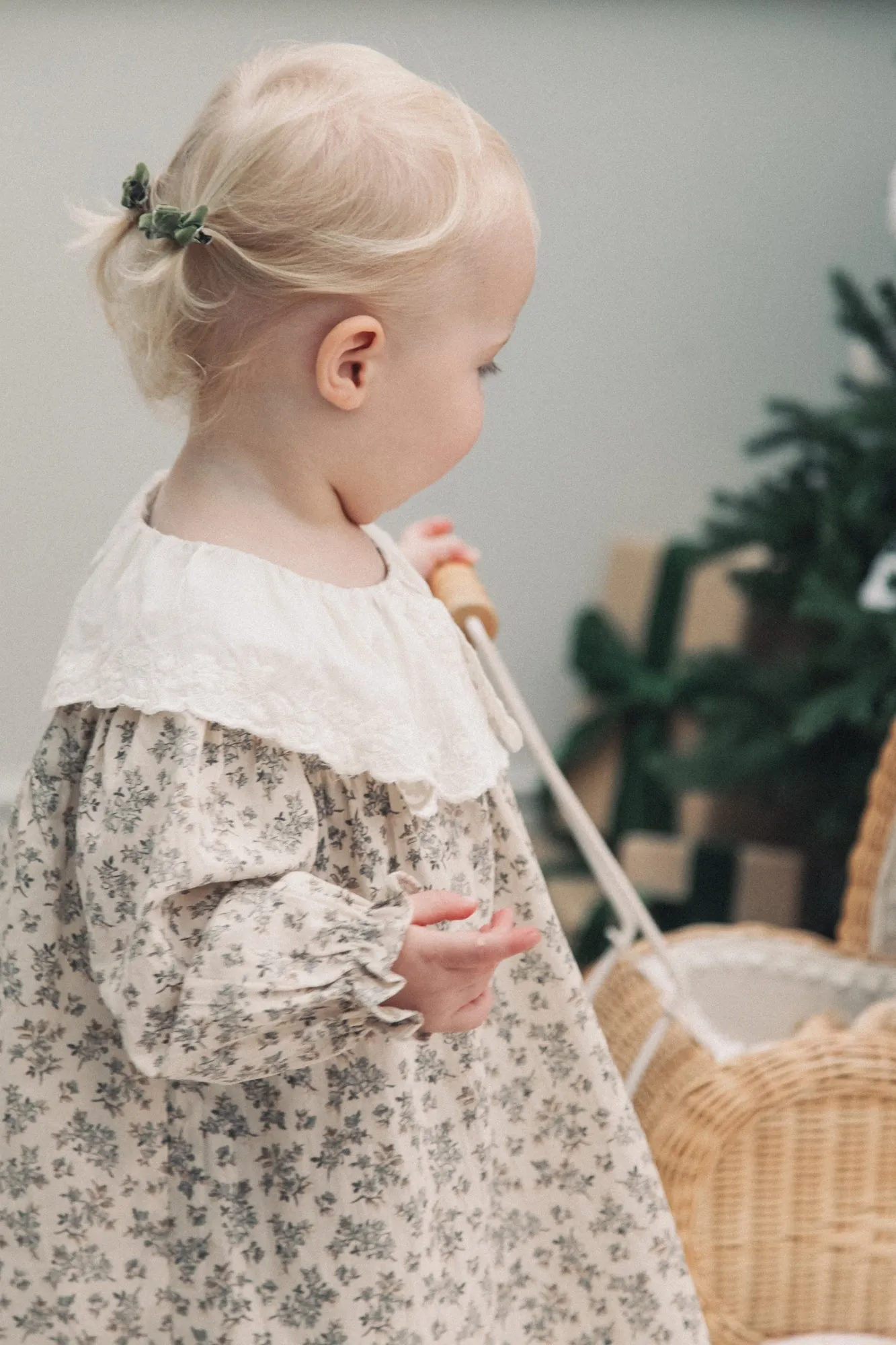 Embroidered Oversized Collar Floral Dress